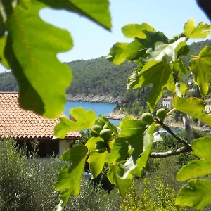 Ida Sveta Marina Drenje (Istria)